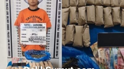 Miliki 26 Paket ganja, warga kelurahan Banjar diringkus Satnarkoba Polres Pematang siantar