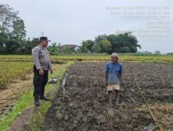 Polsek Siantar Marihat Sambang DDS di Persawahan Sianjur Nauli