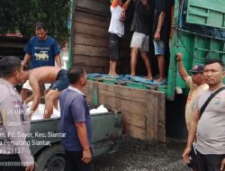 Polsek Siantar Selatan Dampingi Penjualan jagung Petani Binaan ke Bulog Cabang Pematangsiantar 