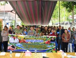 BUPATI SAMOSIR SALURKAN 1,25 JUTA BIBIT KOPI UNTUK 245 KELOMPOK TANI -DAPAT UANG GALI Rp1,17 JUTA/HA