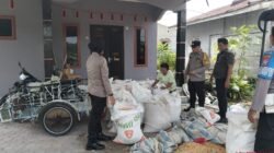 Polsek Siantar Selatan Bersama Petani Binaan Panen Jagung
