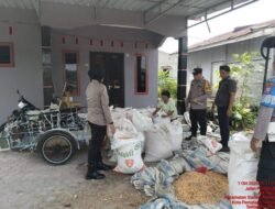 Polsek Siantar Selatan Bersama Petani Binaan Panen Jagung