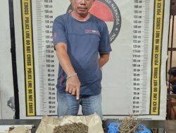 Polsek Gunung Malela Amankan Buruh 46 Tahun dengan 114 Paket Ganja di Nagori Sitalasari